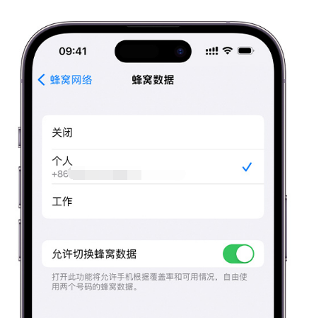 漳州苹果维修服务分享如何在iPhone上使用双卡 